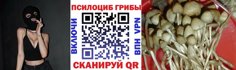Галлюциногенные грибы мицелий  Лениногорск 